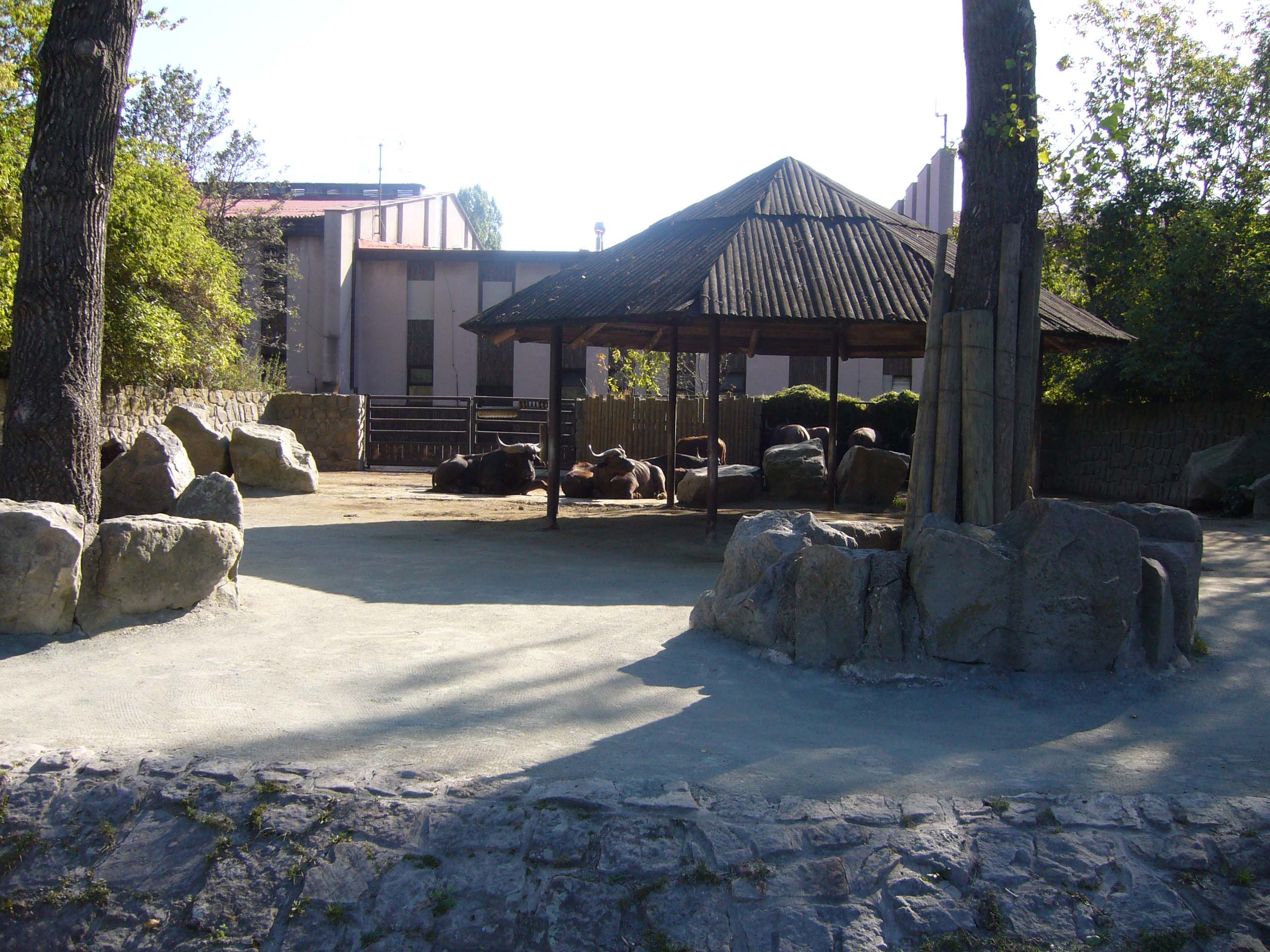 ZOO DKnL léto 08 081.jpg