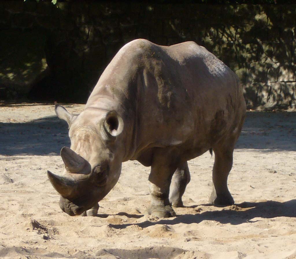 ZOO DKnL léto 08 106.jpg