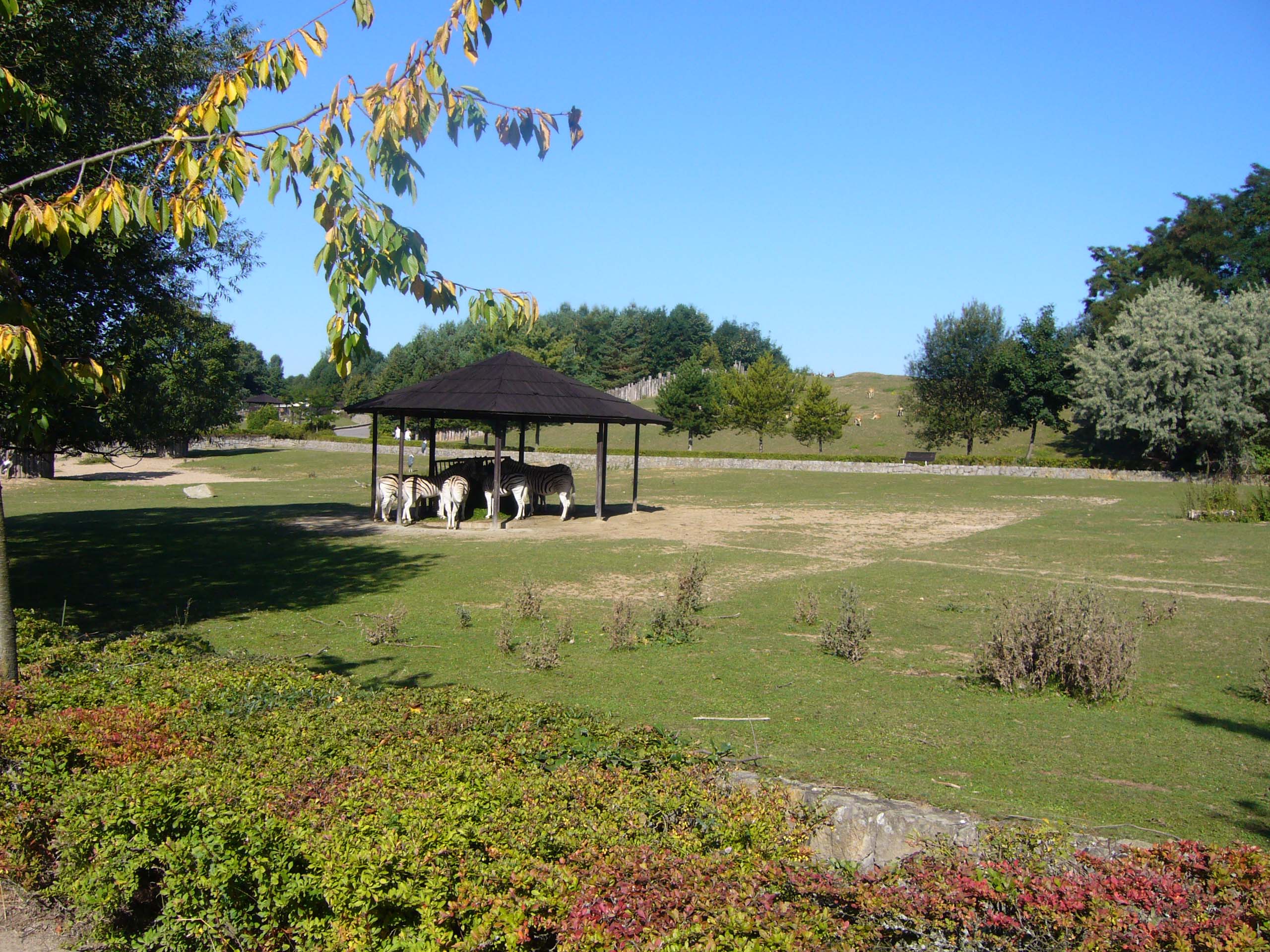 ZOO DKnL léto 08 113.jpg