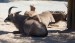 ZOO DKnL léto 08 220.jpg