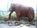 ZOO DKnL léto 08 222.jpg
