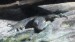 ZOO DKnL léto 08 247.jpg